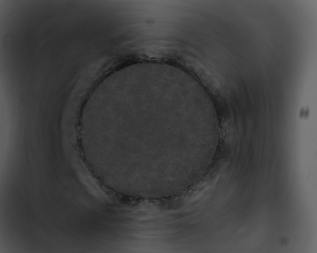 X0000102851009200809081238