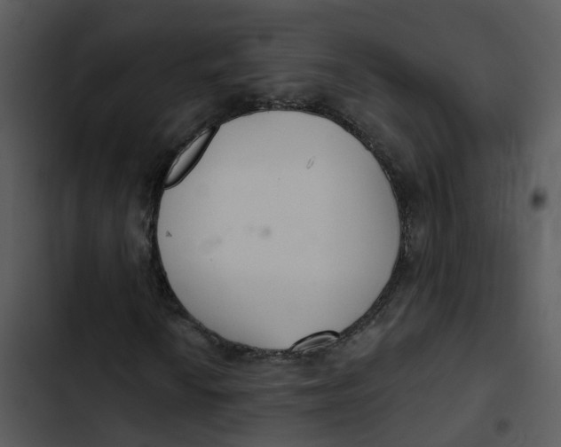 X0000102851010200809081238