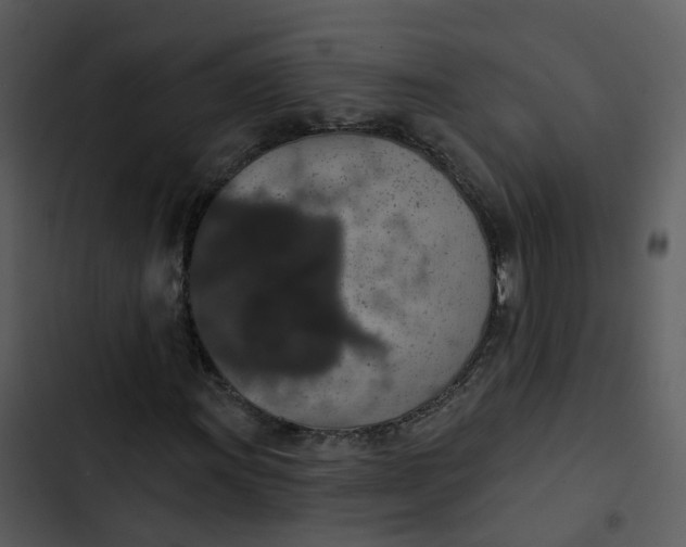 X0000102851011200809081238