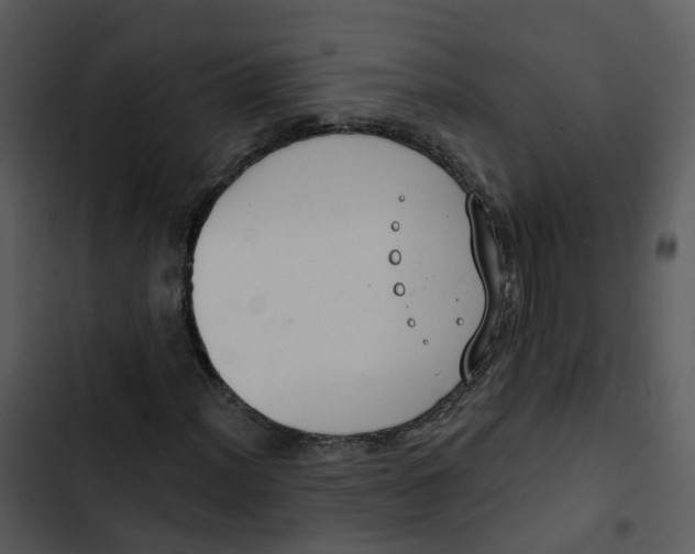 X0000102851012200809081238