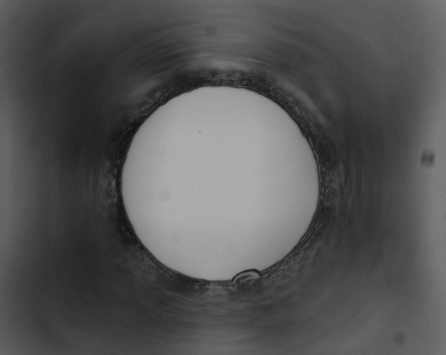 X0000102851013200809081238