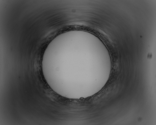 X0000102851014200809081238