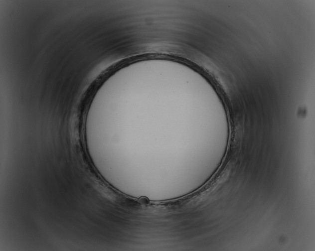 X0000102851019200809081238