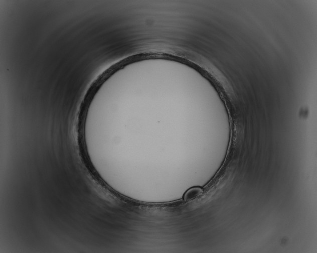 X0000102851020200809081238