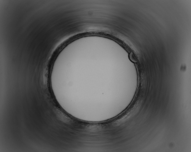 X0000102851021200809081238