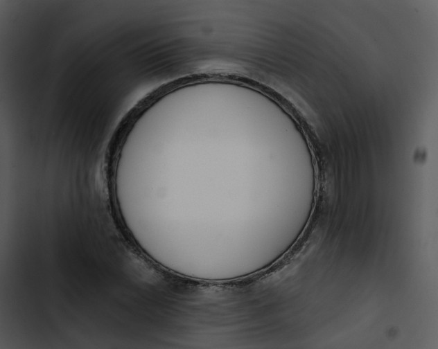 X0000102851022200809081238