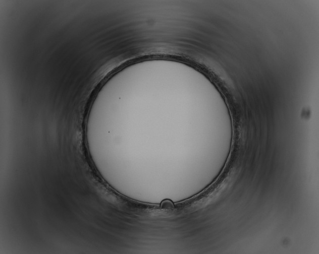 X0000102851025200809081238