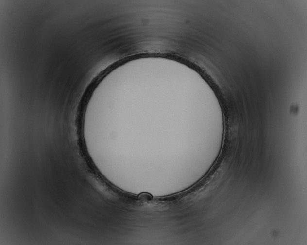 X0000102851026200809081238