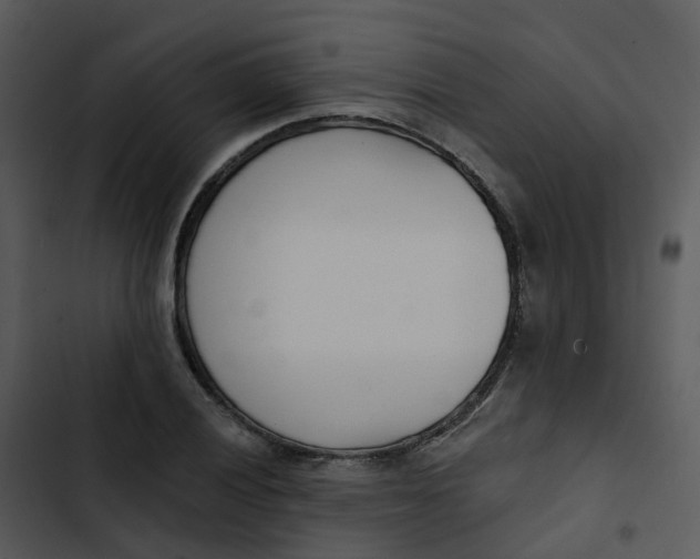 X0000102851028200809081238