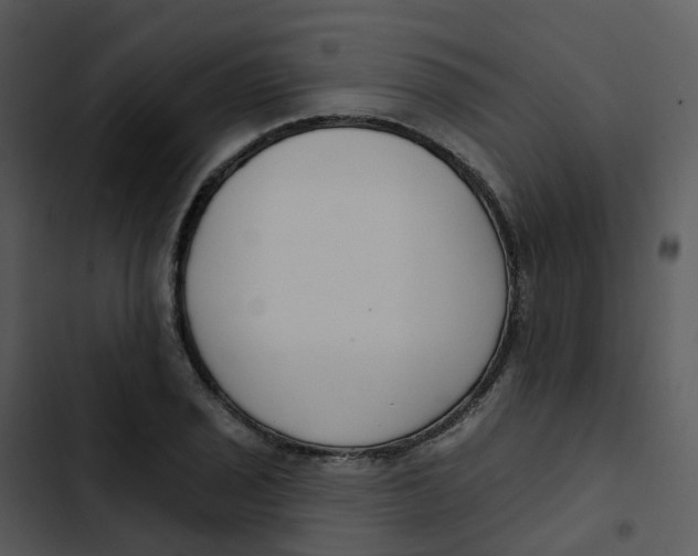 X0000102851029200809081238