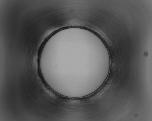 X0000102851030200809081238