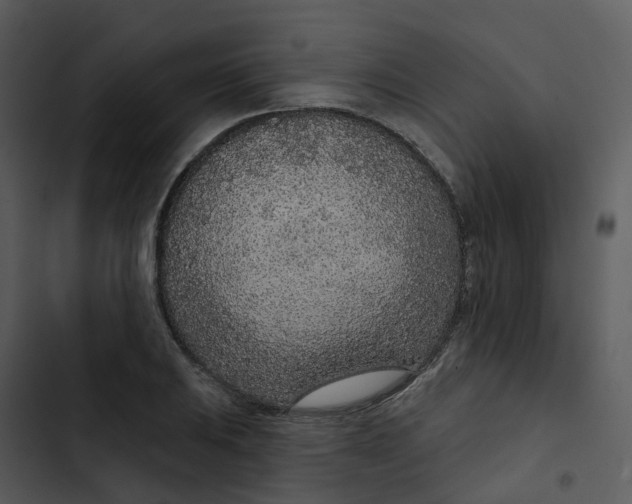 X0000102851031200809081238