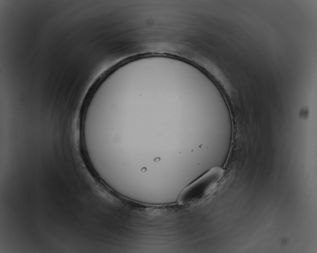 X0000102851032200809081238