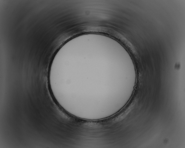 X0000102851033200809081238