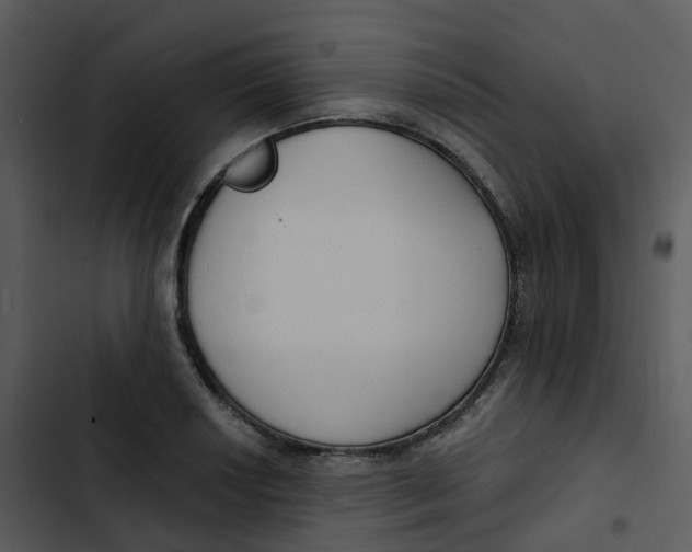 X0000102851034200809081238