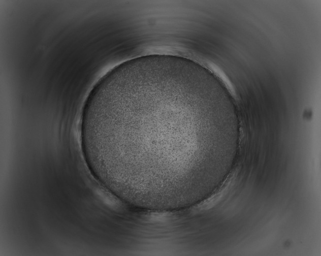 X0000102851035200809081238