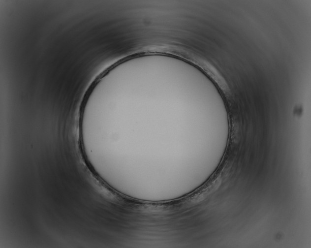 X0000102851036200809081238