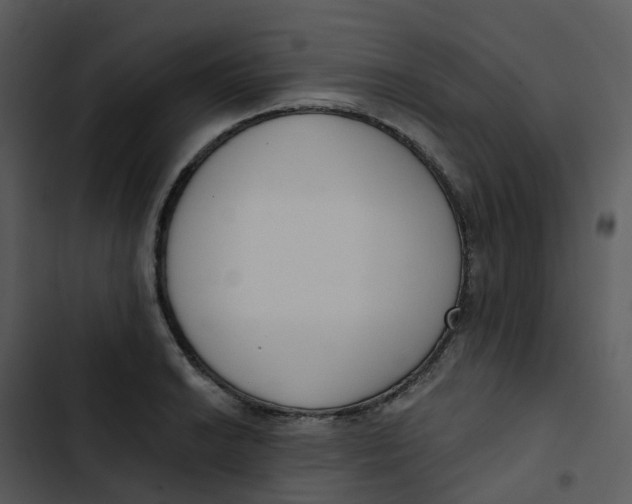 X0000102851038200809081238