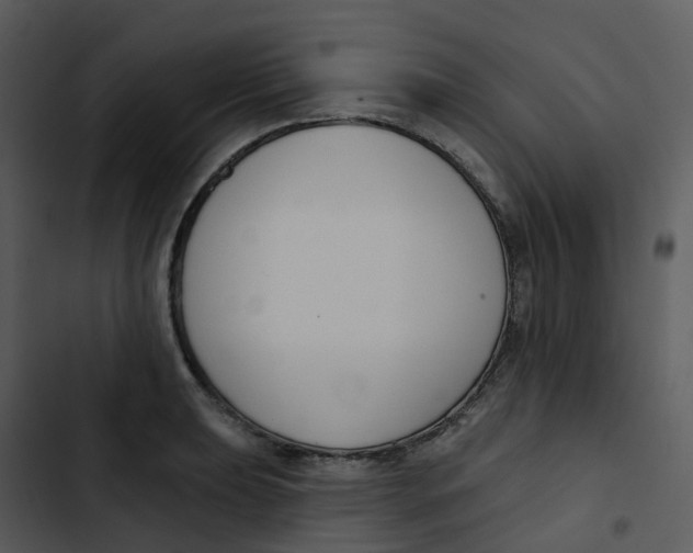 X0000102851039200809081238