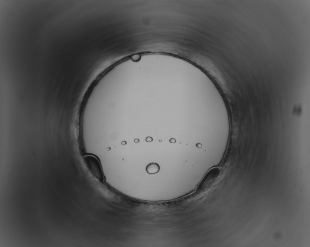 X0000102851040200809081238