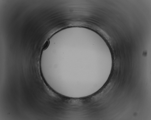 X0000102851041200809081238