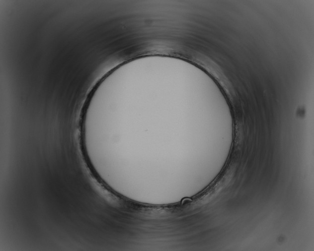 X0000102851042200809081238