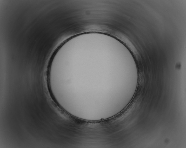 X0000102851043200809081238