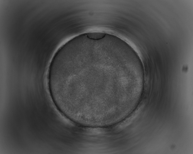 X0000102851045200809081238