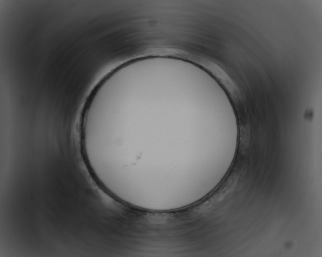 X0000102851046200809081238