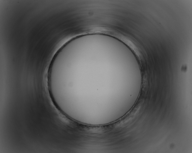 X0000102851047200809081238