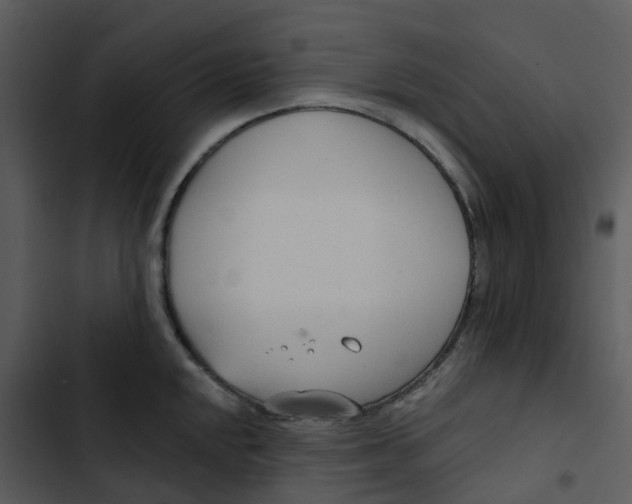 X0000102851048200809081239