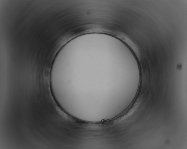 X0000102851049200809081239