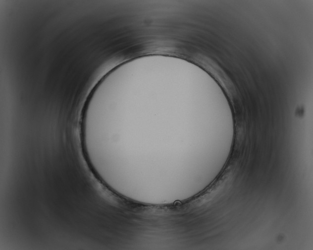 X0000102851050200809081239