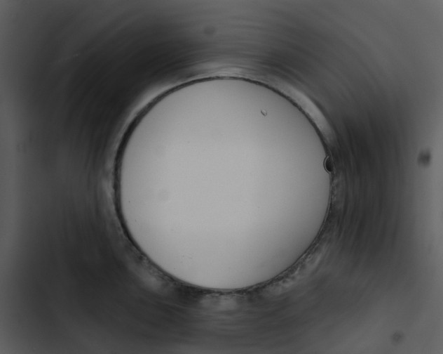 X0000102851051200809081239