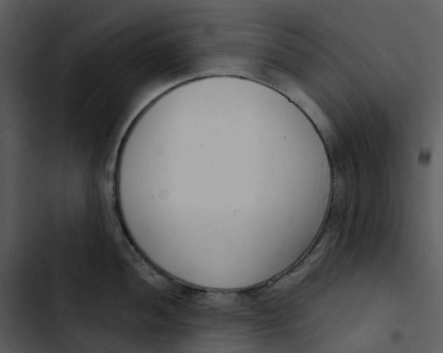 X0000102851052200809081239