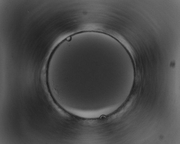 X0000102851053200809081239