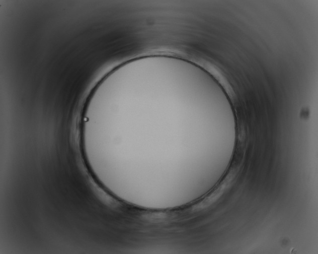 X0000102851054200809081239