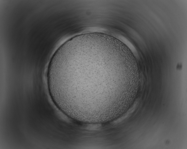 X0000102851055200809081239