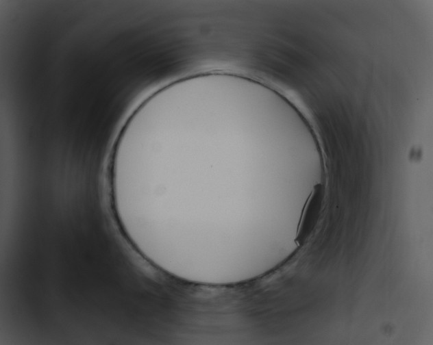 X0000102851056200809081239