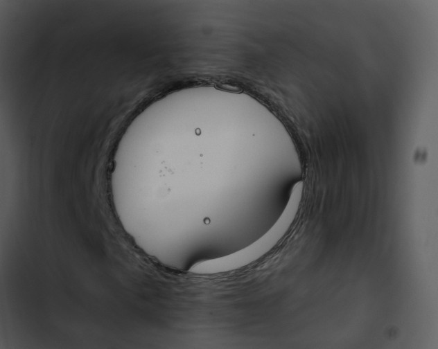 X0000102851057200809081238