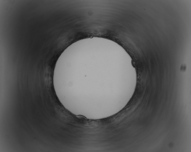 X0000102851058200809081238