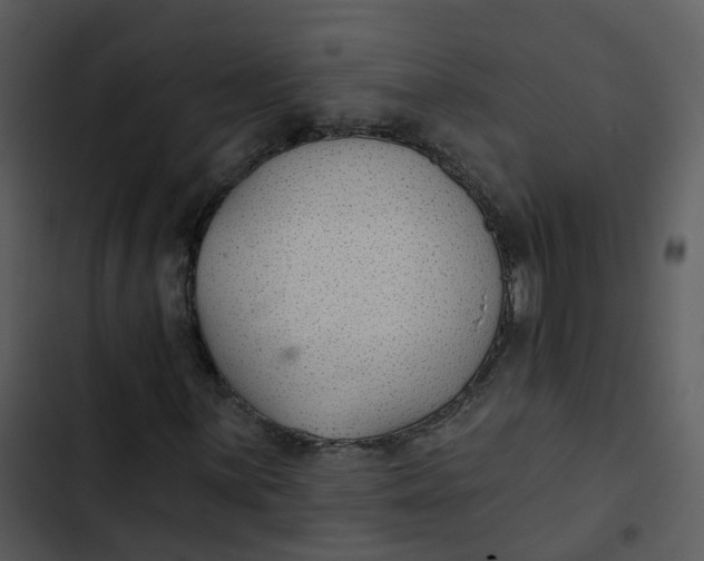 X0000102851059200809081238