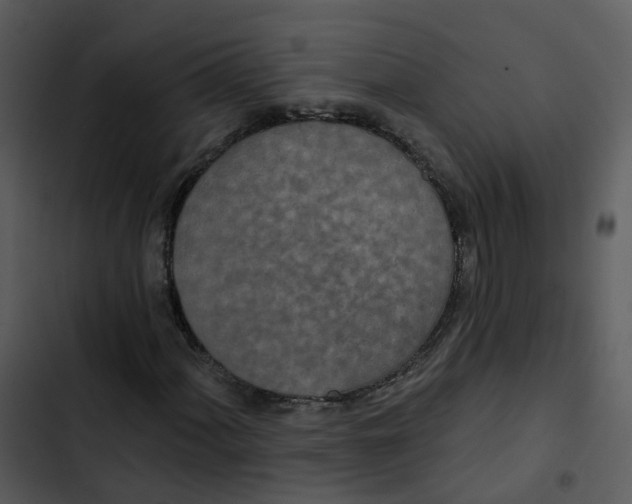 X0000102851060200809081238