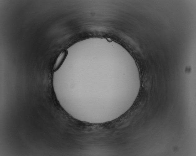 X0000102851061200809081238