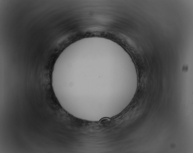 X0000102851062200809081238