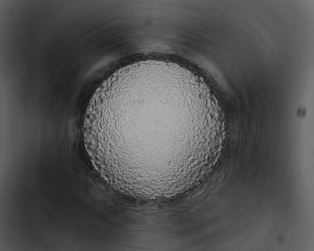 X0000102851063200809081238