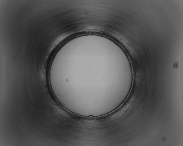 X0000102851066200809081238