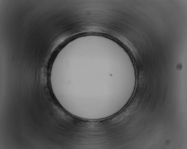 X0000102851067200809081238