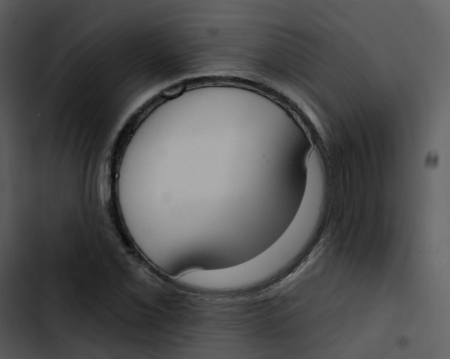 X0000102851069200809081238