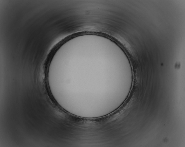 X0000102851070200809081238